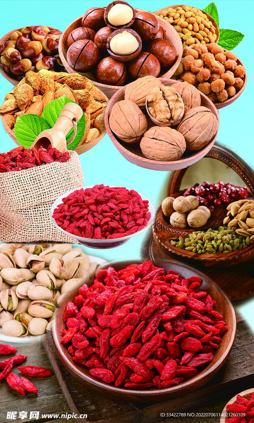 干果大全 从设计图到舌尖的味觉盛宴