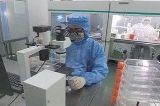 拟核与细胞核的区别及其在技术服务中的应用