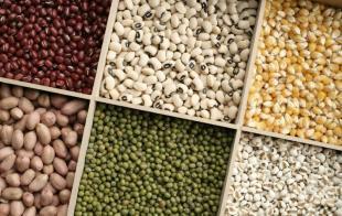 郑州干果及农副产品批发市场指南——世界工厂网助您精准对接