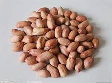 食物营养冠军榜——干果 小小的能量库，大大的健康宝