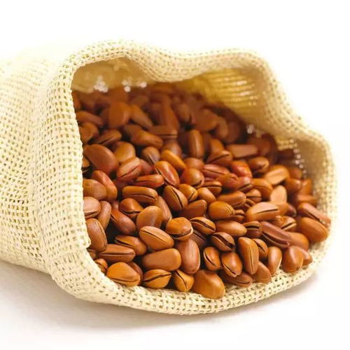 大雪时节养生，干果助您暖身又滋补